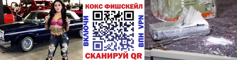 купить закладку Дятьково omg маркетплейс COCAIN Fish Scale