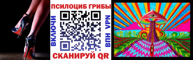 где продают наркотики  Дятьково  Псилоцибиновые грибы Psilocybe 