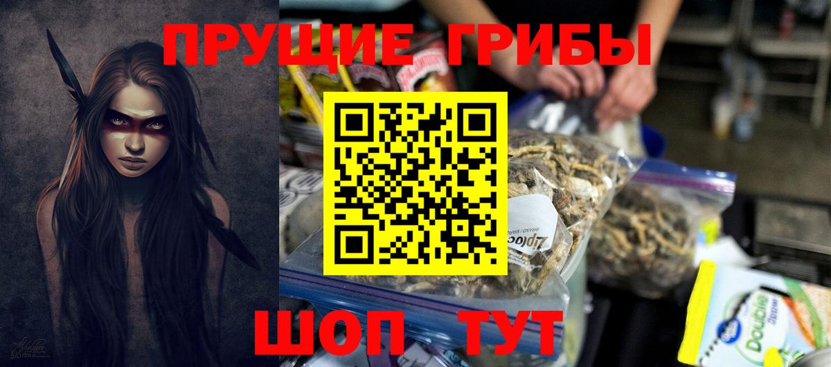 Псилоцибиновые грибы Cubensis Дятьково