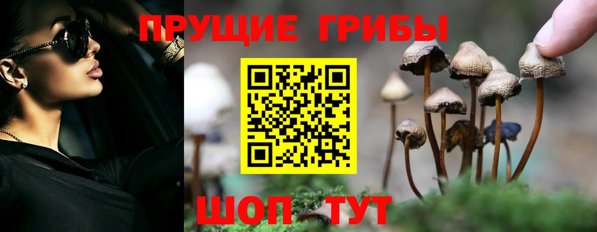 Псилоцибиновые грибы мухоморы  Псилоцибиновые грибы GOLDEN TEACHER  Вход с VPN  Дятьково 